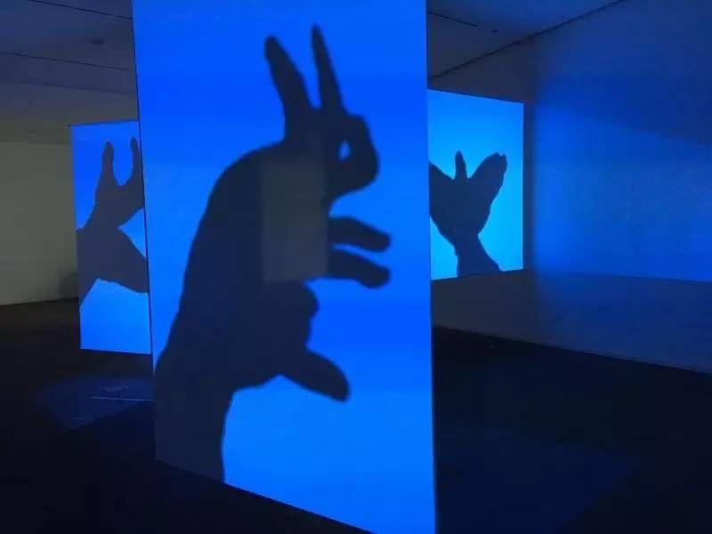 捕捉影子的艺术探索：影像作为文化与观念的当代解读 - 新火设计艺术资讯