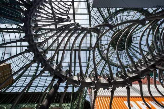 巨型沉浸式装置艺术构建权力隐喻，探索帝国神话与当代经济景观 - 新火设计艺术资讯