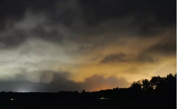 艺术基金行业如何应对挑战与转型策略分析 - 新火设计艺术资讯