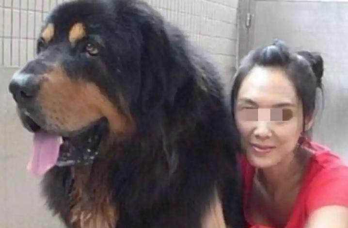 探索当代艺术如何揭示都市矛盾与未来困惑 - 新火设计艺术资讯