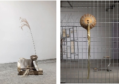 艺术家担任双年展策展人的独特视角与跨界实践 - 新火设计艺术资讯