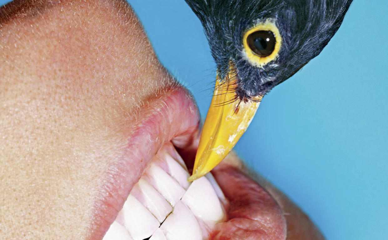 法国南部摄影盛会聚焦非洲与街头，探索当代影像新趋势 - 新火设计艺术资讯