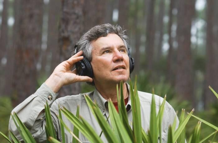 探索自然之声的艺术盛宴：动物交响与生态启示 - 新火设计艺术资讯