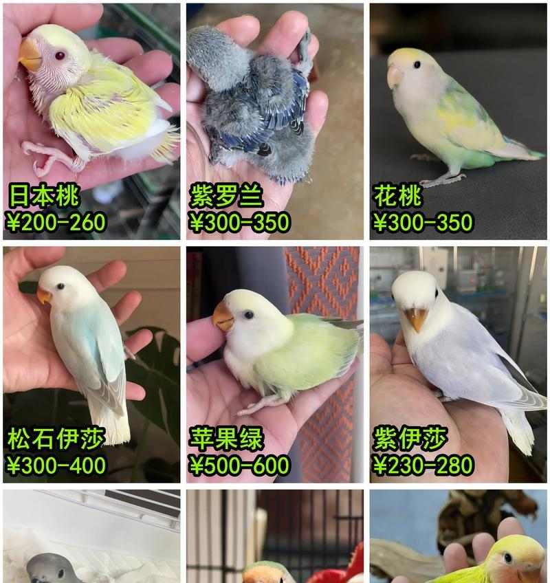 当代艺术市场全球化真相：数据揭示本土偏好与区域壁垒 - 新火设计艺术资讯