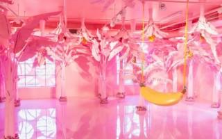 打卡金马桶与自拍狂欢：社交媒体如何重塑当代美术馆体验 - 新火设计艺术资讯