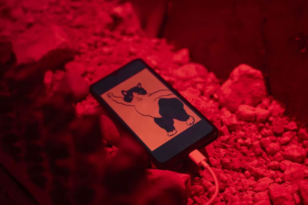 美术馆如何超越景观使命？从陶艺的物质性看当代艺术传承(图12)