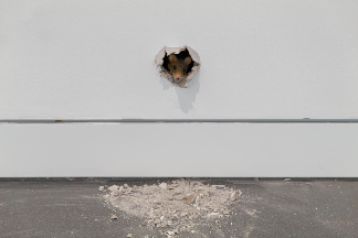 艺术机构如何塑造独特气质？从空间到观众的参与性实践(图10)