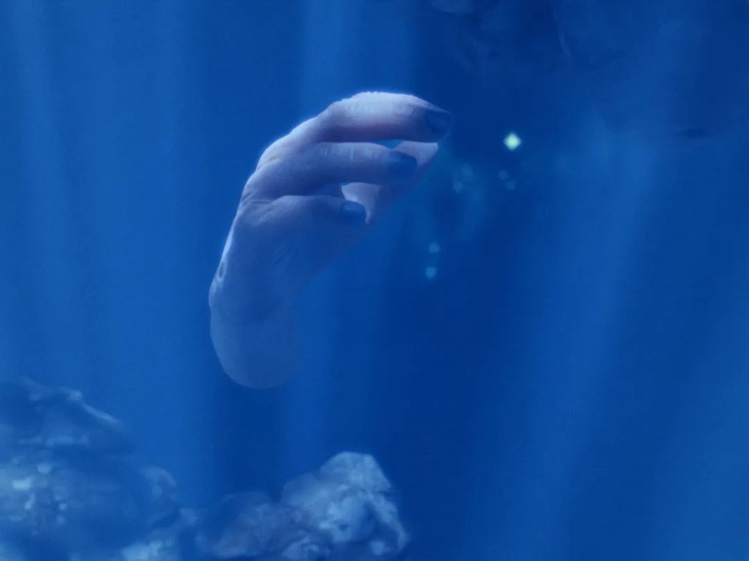 后人类伦理与生命纠缠：从动画到人工智能的照护叙事(图8)