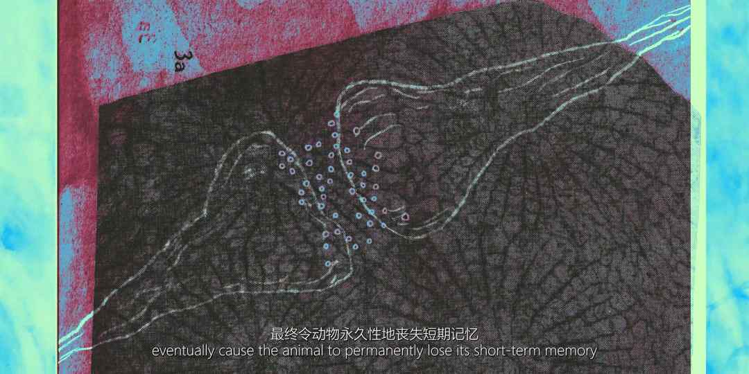 后人类伦理与生命纠缠：从动画到人工智能的照护叙事(图12)