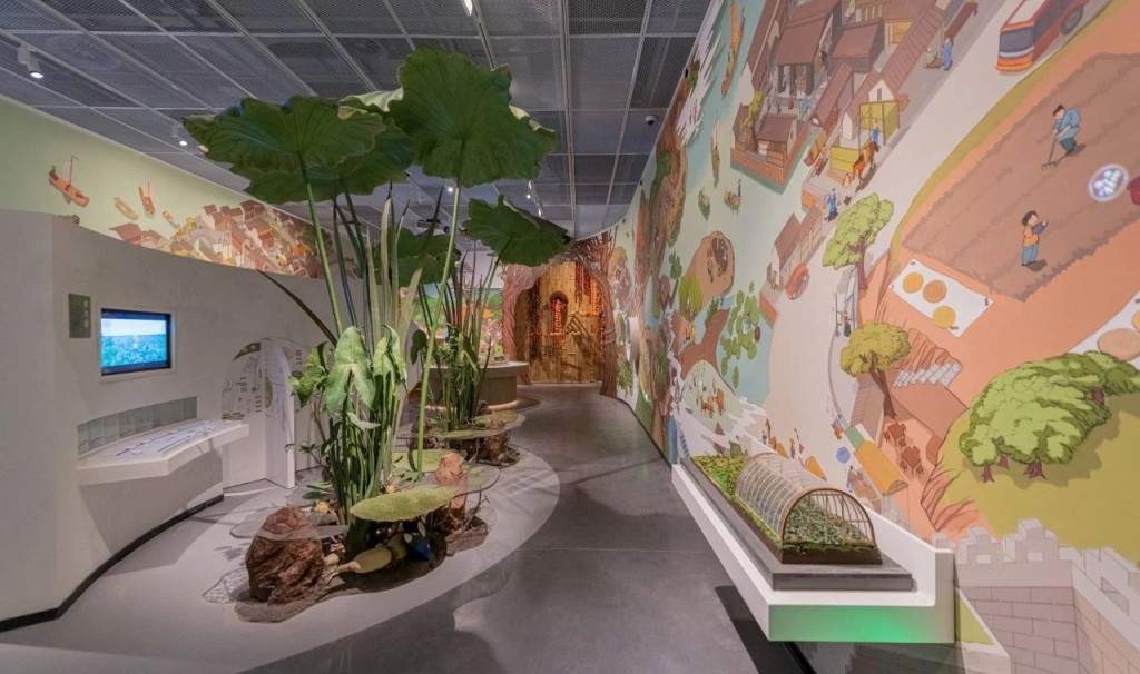 吴文化博物馆如何通过古树故事实现文化突围(图1)