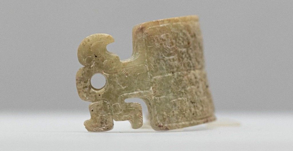 吴文化博物馆如何通过古树故事实现文化突围(图4)