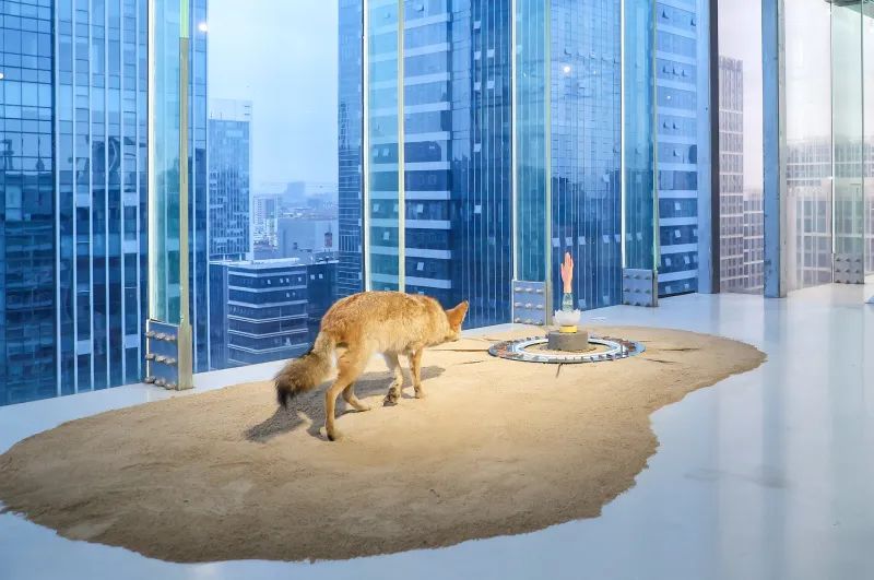 广东时代美术馆重启探索新生态(图9)