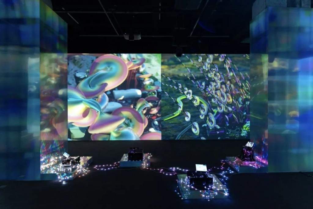 联觉艺术体验：Fotografiska上海展呈现多元影像创作(图1)