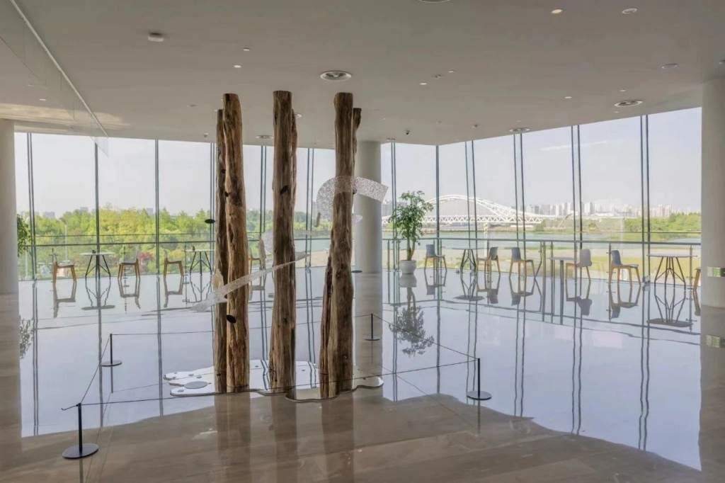 吴文化博物馆如何通过古树故事实现文化突围(图2)