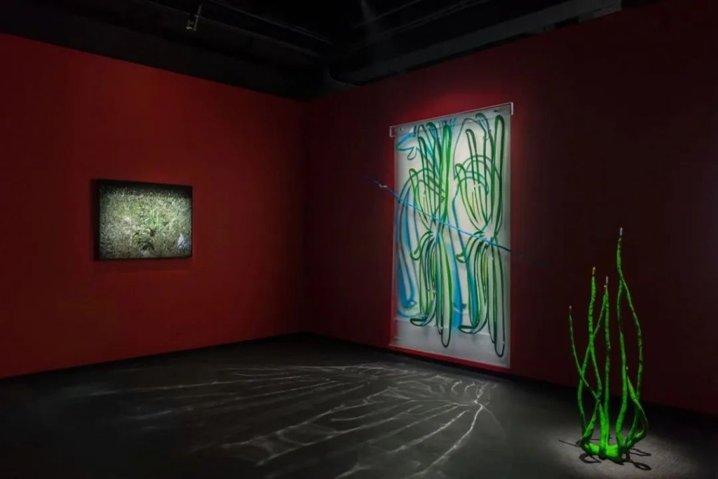 联觉艺术体验：Fotografiska上海展呈现多元影像创作(图12)