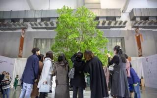 台北当代艺博会：西方与日韩主导，中国画廊参与度低 - 新火设计艺术资讯