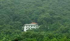 天童森林与生态智慧：跨学科实践中的自然对话 - 新火设计艺术资讯