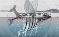 冰川危机与生态艺术的觉醒 - 新火设计艺术资讯