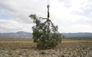 威尼斯双年展女性艺术崛起，中国艺术界如何回应？ - 新火设计艺术资讯