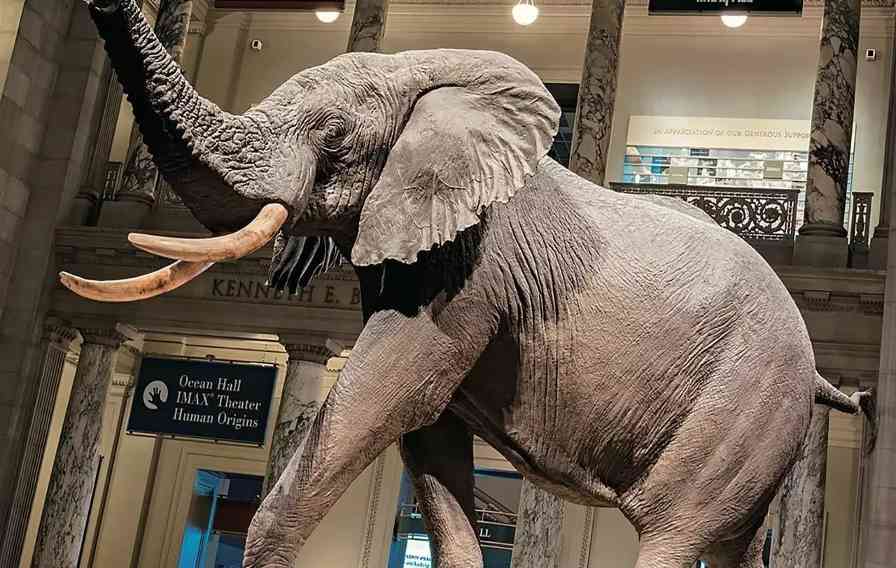 博物馆数字化是否真的必要？ - 新火设计艺术资讯