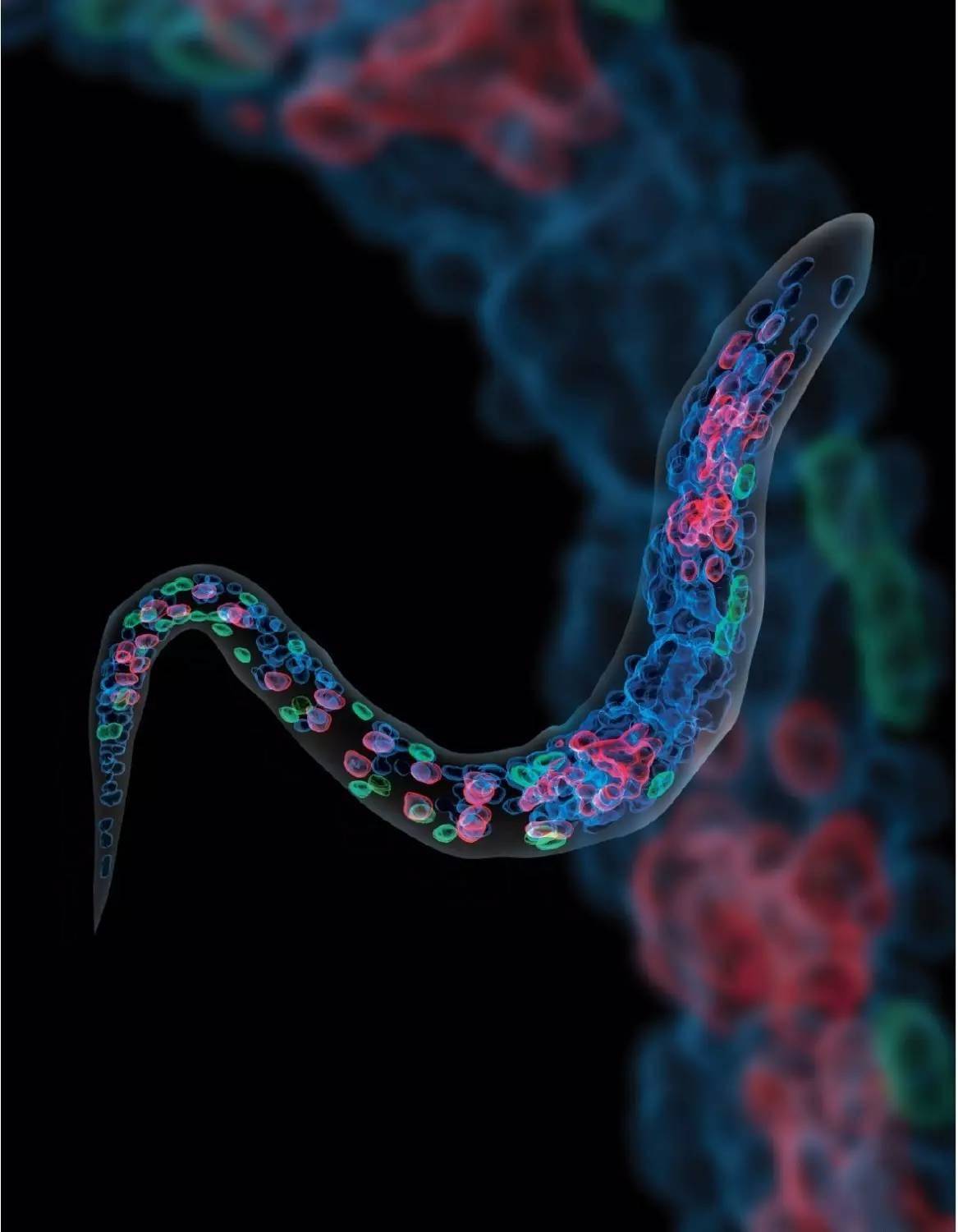 上海种子第二章：探索未来与环境的深层连接 - 新火设计艺术资讯