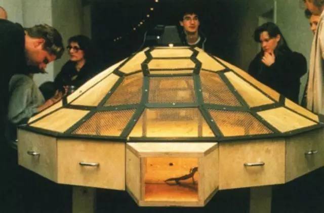 古根海姆策划全球最大中国当代艺术展，展现艺术与社会的互动 - 新火设计艺术资讯