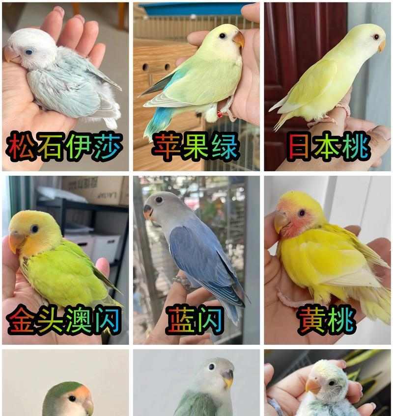 2015年艺术界老炮儿与新势力的兴衰对比 - 新火设计艺术资讯