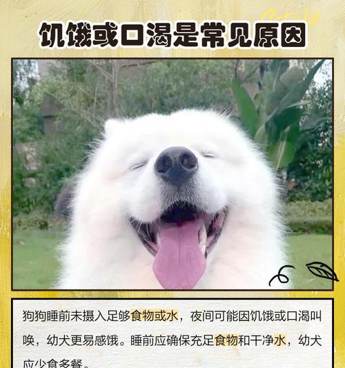 2015艺术界年度之最与未来展望 - 新火设计艺术资讯