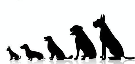 成都麓湖·A4美术馆首展探讨艺术与空间的多维创造(图2) 成都麓湖·A4美术馆首展探讨艺术与空间的多维创造(图2)