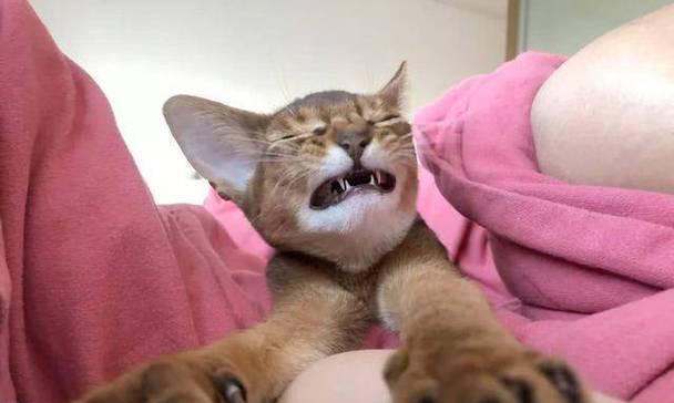 春季艺术之旅：江南古韵与书画珍品的邂逅(图9)