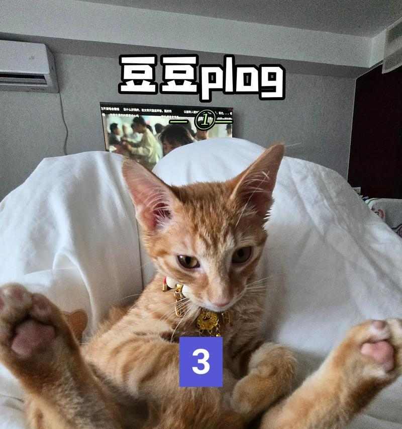 张培力：重复如何成为数字时代的艺术力量(图4)