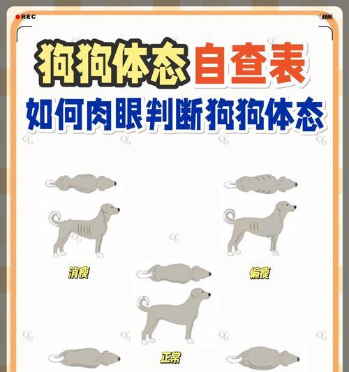 惠特尼双年展引发种族与暴力争议 - 新火设计艺术资讯