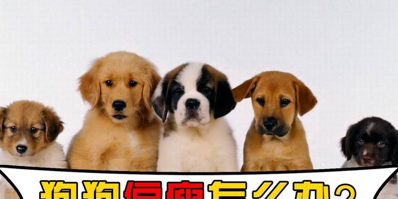 纽约大都会艺术博物馆讲述秦汉文明与‘中国’概念起源(图9)