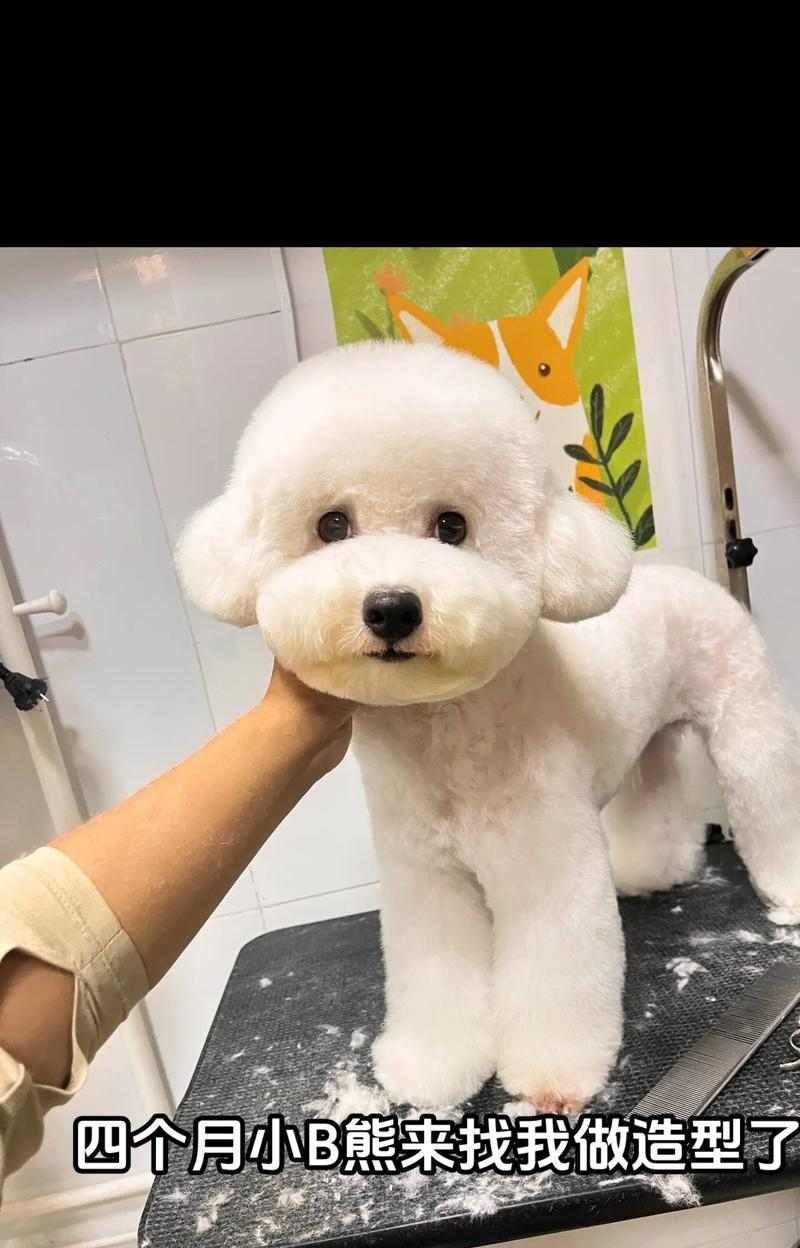 何翔宇个展探索身体感知与视觉机制(图8)