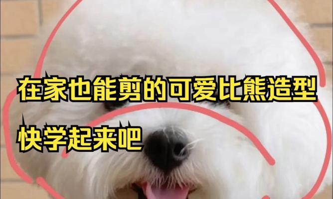 何翔宇个展探索身体感知与视觉机制(图1)