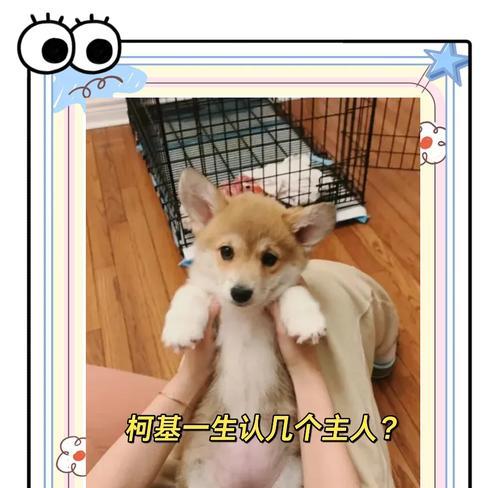 孙煜峰家族捐赠书画展揭示海上鉴藏家收藏之路 - 新火设计艺术资讯