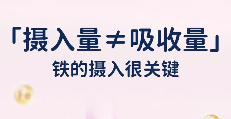 德国摄影艺术：从画意美学到现代创新的演变(图3)