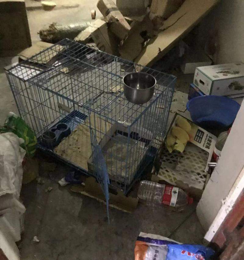 新加坡艺术博览会聚焦东南亚，展现亚洲艺术新趋势 - 新火设计艺术资讯