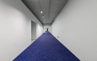 东西方前卫艺术的抽象对话：克莱因蓝与十示的视觉共鸣 - 新火设计艺术资讯