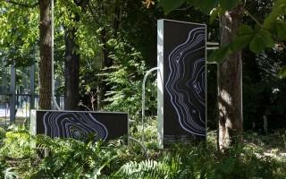 探索树的美学与科学：从艺术到生态的深层对话 - 新火设计艺术资讯