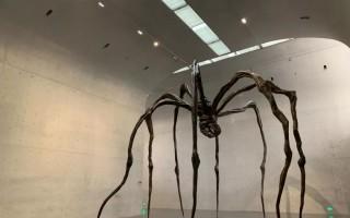 路易丝·布尔乔亚上海回顾展：永恒的丝线 - 新火设计艺术资讯