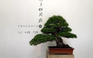 松美术馆松风雅集展览解析｜文玩与书画的文化盛宴 - 新火设计艺术资讯