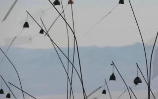 克里斯蒂安·波尔坦斯基艺术展｜人性庇护所与存在主义体验 - 新火设计艺术资讯