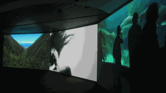 数码艺术探索新世界｜关小尼尔·贝卢法上海个展 - 新火设计艺术资讯