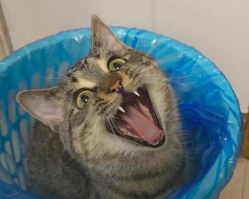 在乔空间“进入”12位中国艺术家的“工作室”(图4)