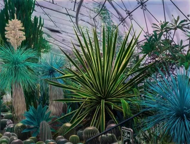 被重塑的自然：在SCôP看摄影师镜头下的