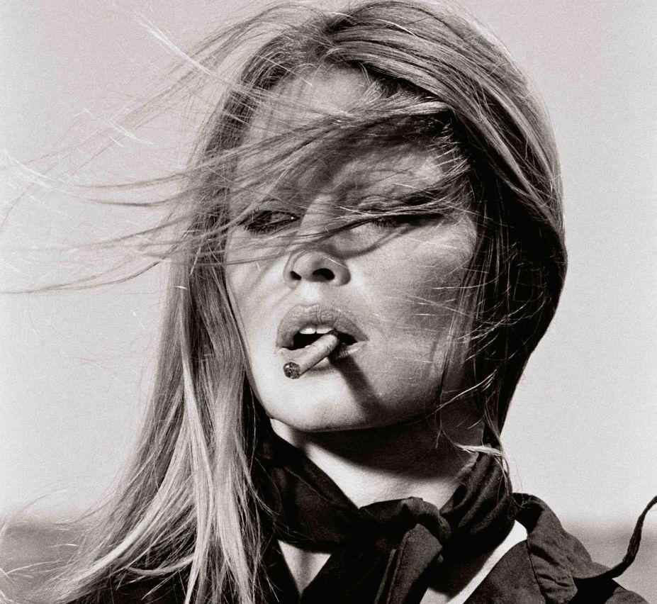 “上海艺术周”三大艺博会销售旺盛，升级沪