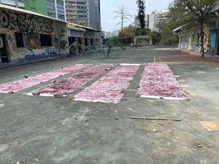在地艺术实践|三位女性艺术家的社群联结与记忆捕捞(图2) 在地艺术实践|三位女性艺术家的社群联结与记忆捕捞(图2)
