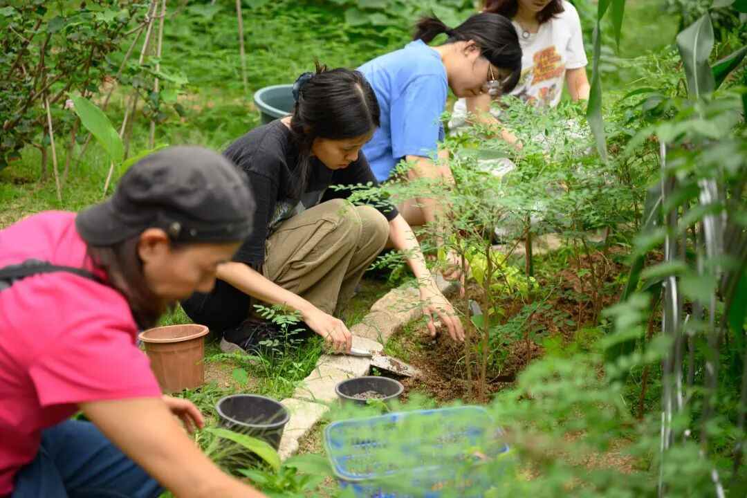 在地艺术实践|三位女性艺术家的社群联结与记忆捕捞(图4) 在地艺术实践|三位女性艺术家的社群联结与记忆捕捞(图4)