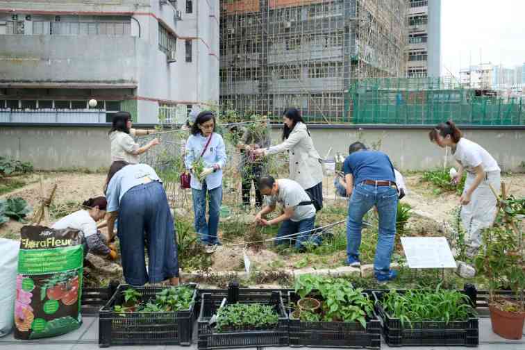 在地艺术实践|三位女性艺术家的社群联结与记忆捕捞(图1) 在地艺术实践|三位女性艺术家的社群联结与记忆捕捞(图1)